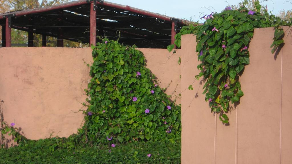 Posada Del Viajero San Rafael 外观 照片